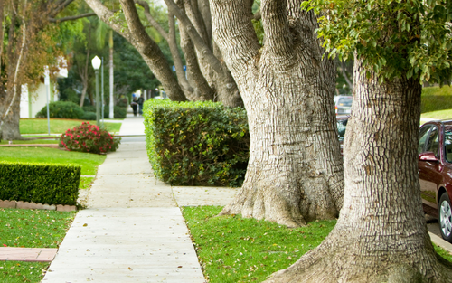 Suburb sidewalk on a clear day